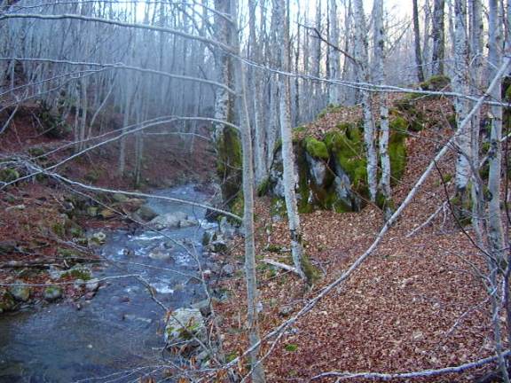 HOT, HOT, HOT OFFER Kolasin